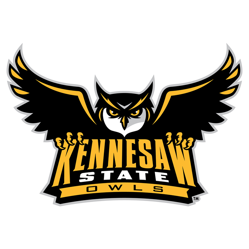 Kennesaw State Owls iron ons